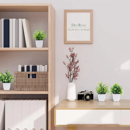 Green Plant to Decorate Interiors